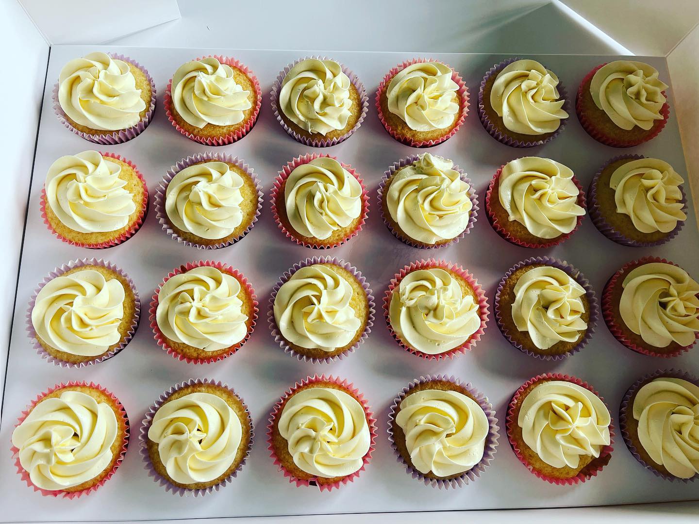 Swirl Cupcakes