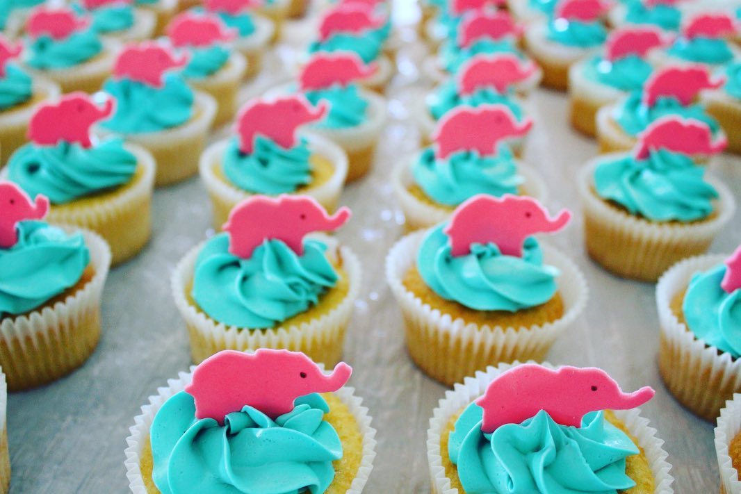 Elephant Cupcakes - Cheltenham Girls