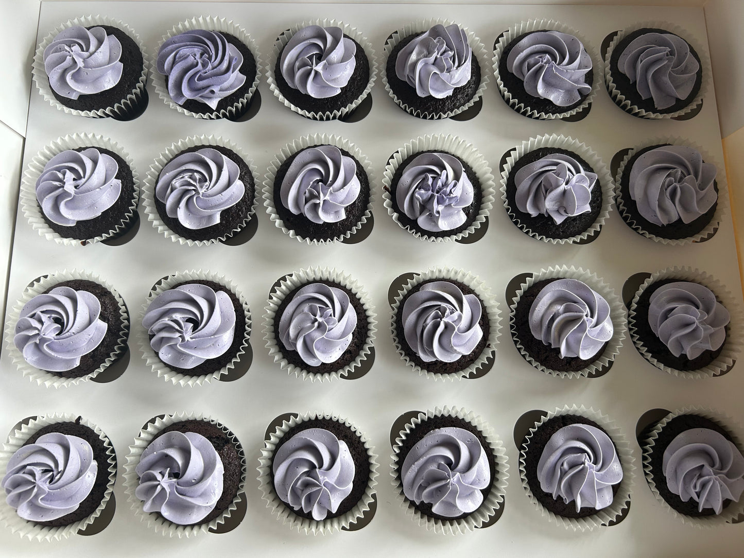 Mini Swirl cupcakes