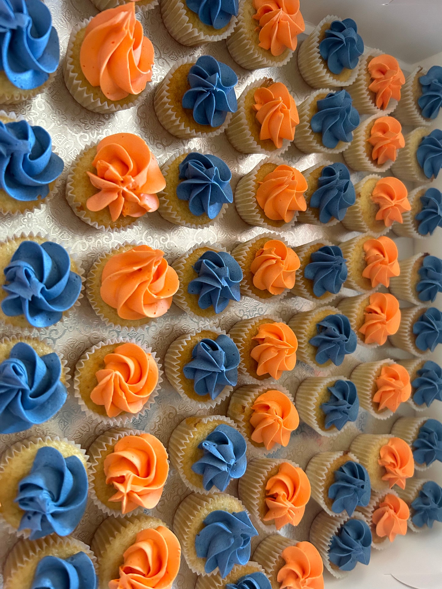 Mini Swirl Cupcakes