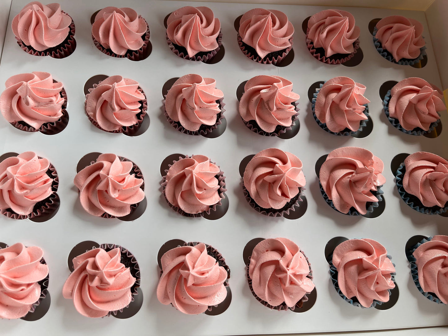 Pink swirl Mini Cupcakes